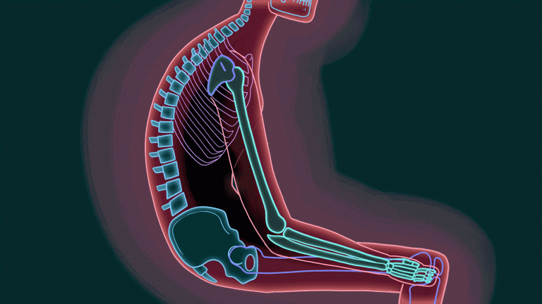 pressure-on-the-spine-in-different-posture-physio-fusion-pressure-on