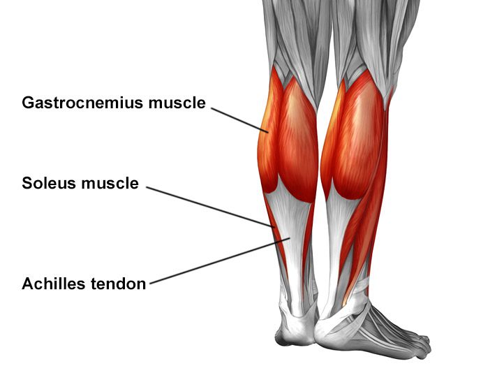 leginjury  Physio Fusion